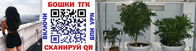Шишки марихуана OG Kush  купить наркотики цена  darknet официальный сайт  Назарово 